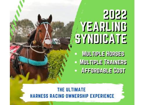 product image for 2022 Yearling Syndicate